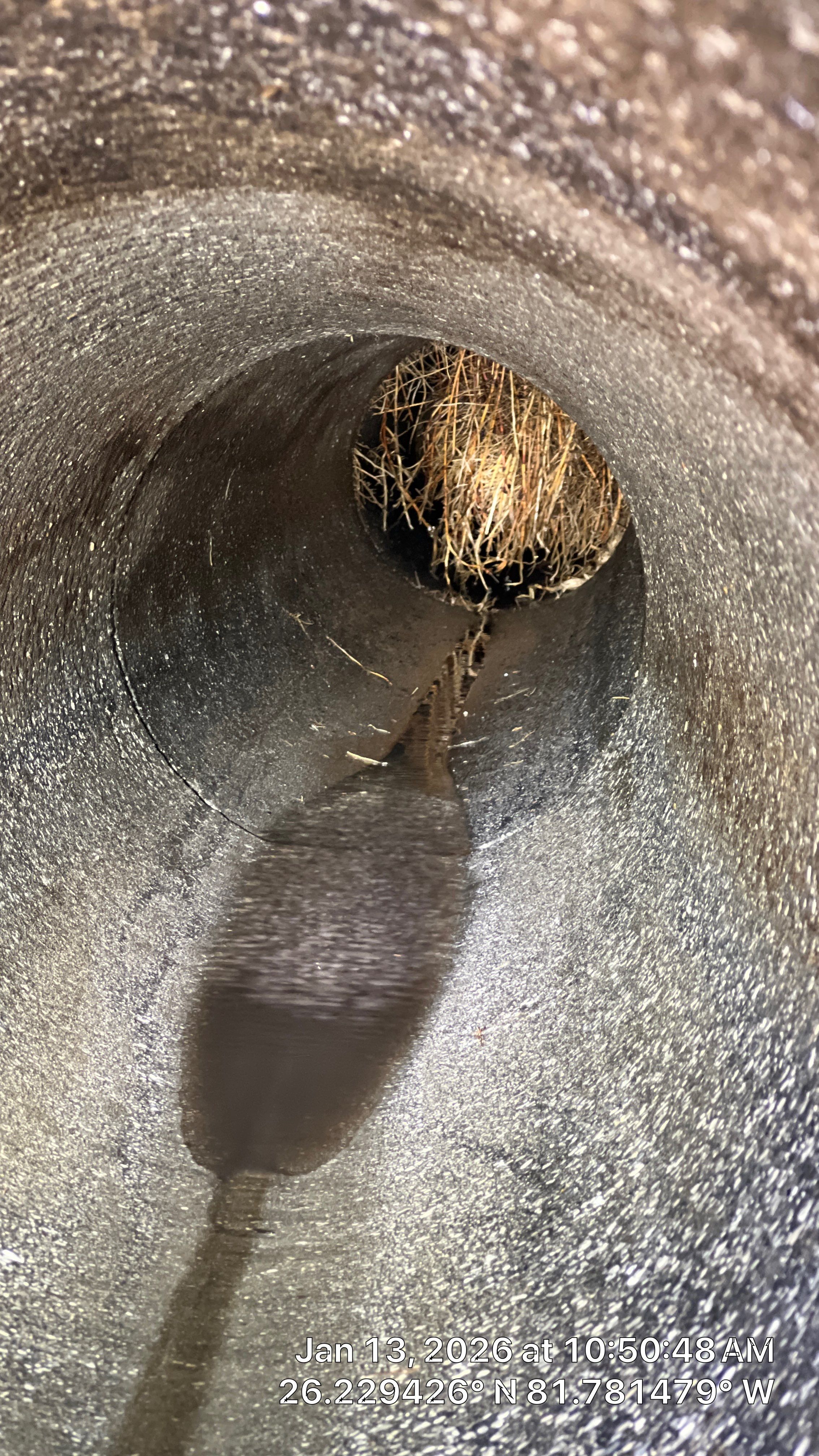Naples Community Root Intrusion Investigation with P.R.S. by Don Mar, Inc. Storm Water Solutions