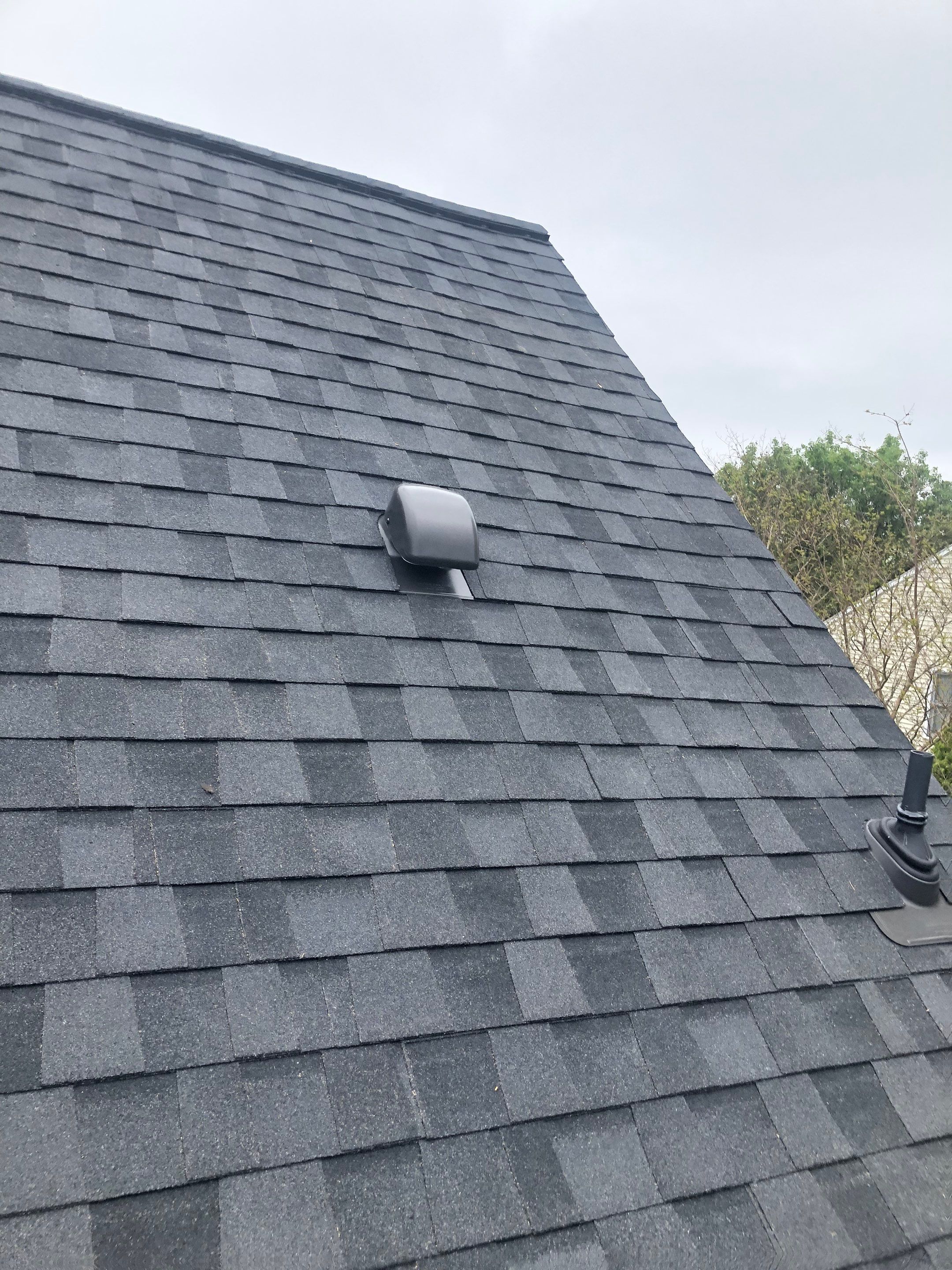 Vienna: CertainTeed Landmark Pro Designer Shingles in Max Def Moire Black by RM Banning, Inc.