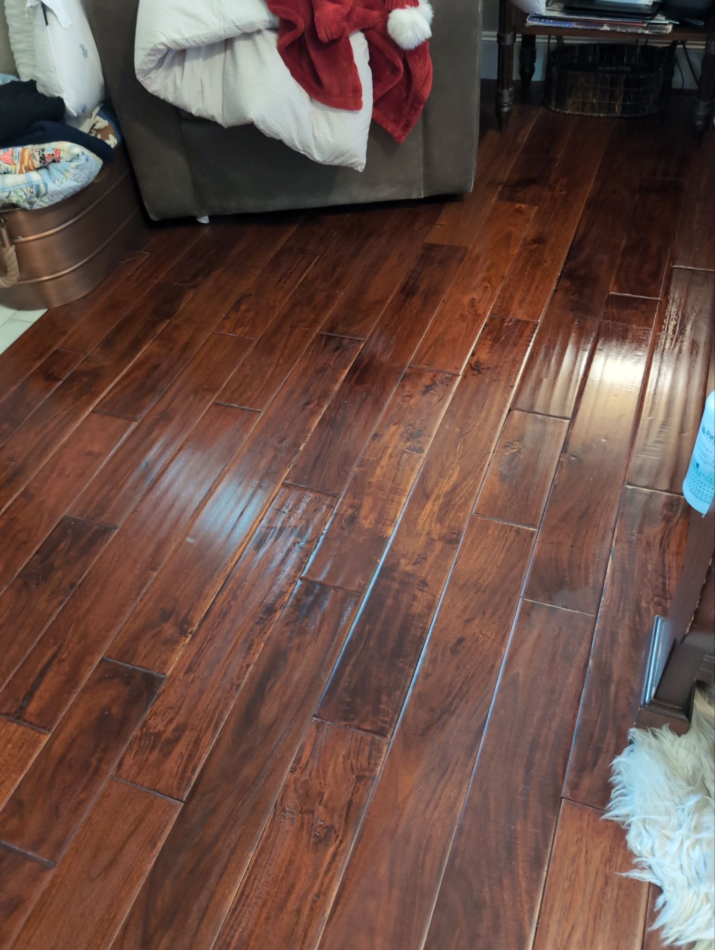 Maid Service Project in Lake Oswego by Cloud 9 Professional Cleaning Services