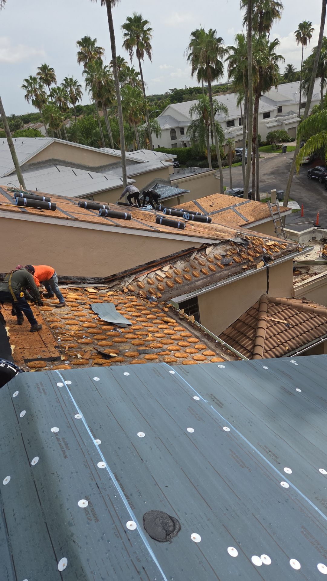 Comprehensive Tile Roof Replacement and Concrete Paver Driveway in Boca Raton by Aastro Roofing