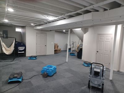 Project in Novi