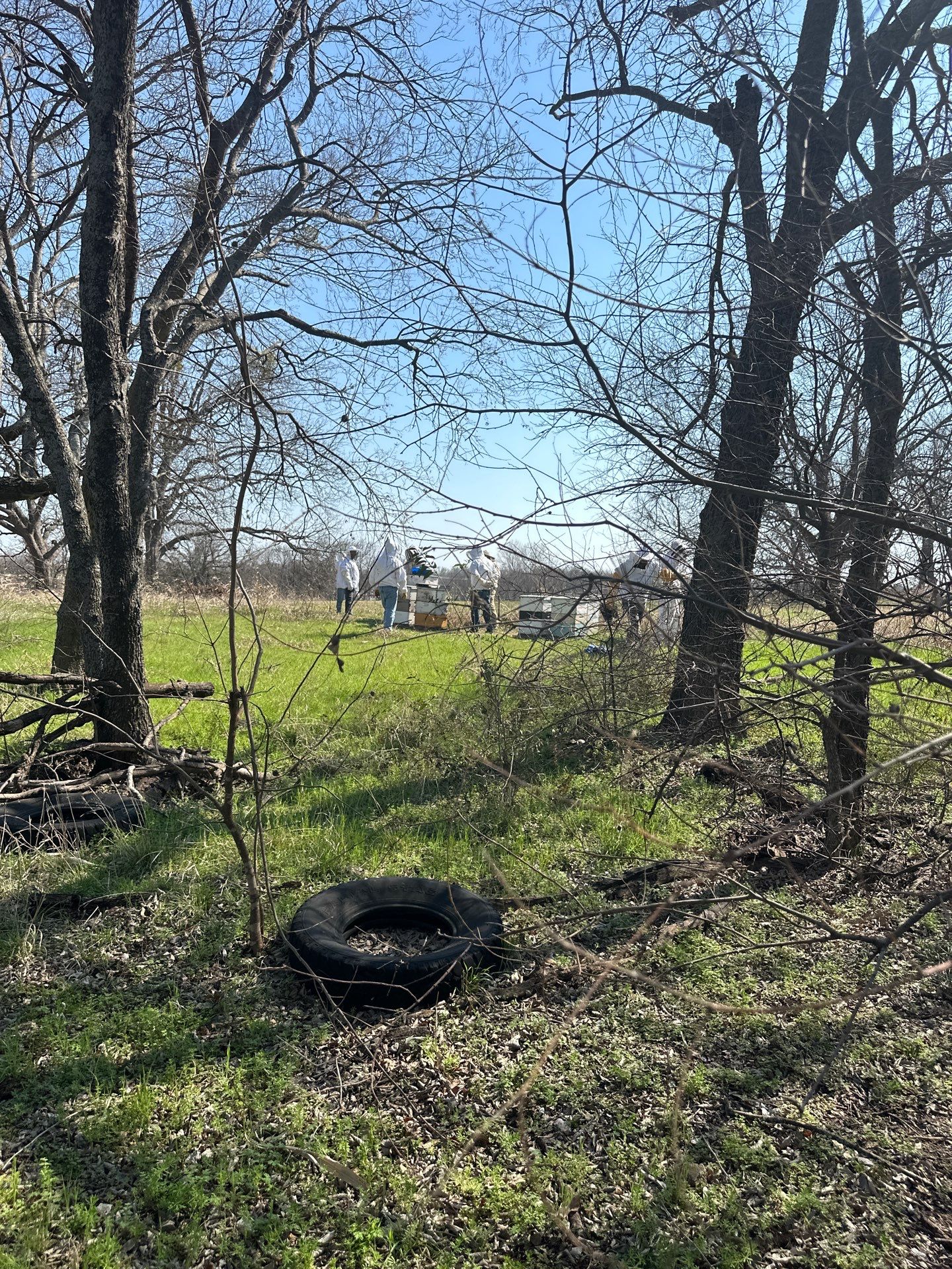 Teaching at an Apiary in Rowlett by Rockwall Honey Bee Company