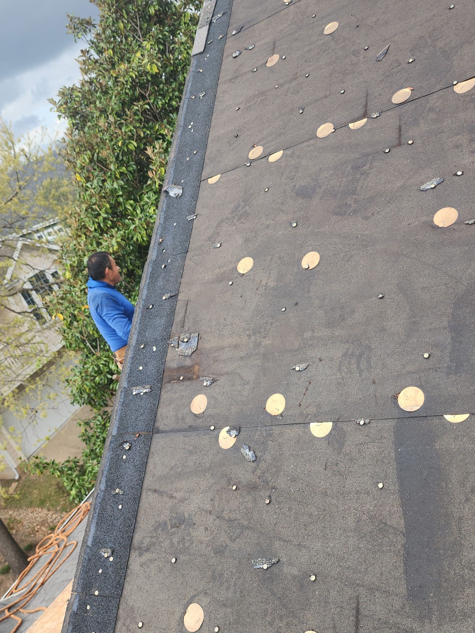 Tall, tall, tall by REPS Austin Area Roofer