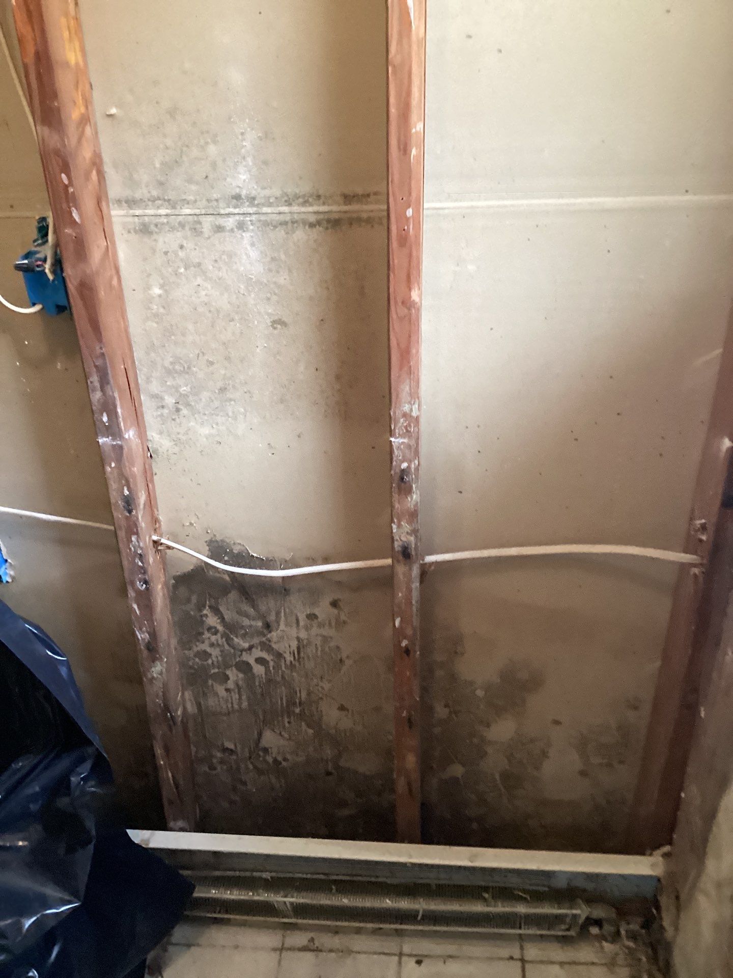 Mold Remediation and Water Damage Repair in Stonybrook, NY by Newhouse Restoration