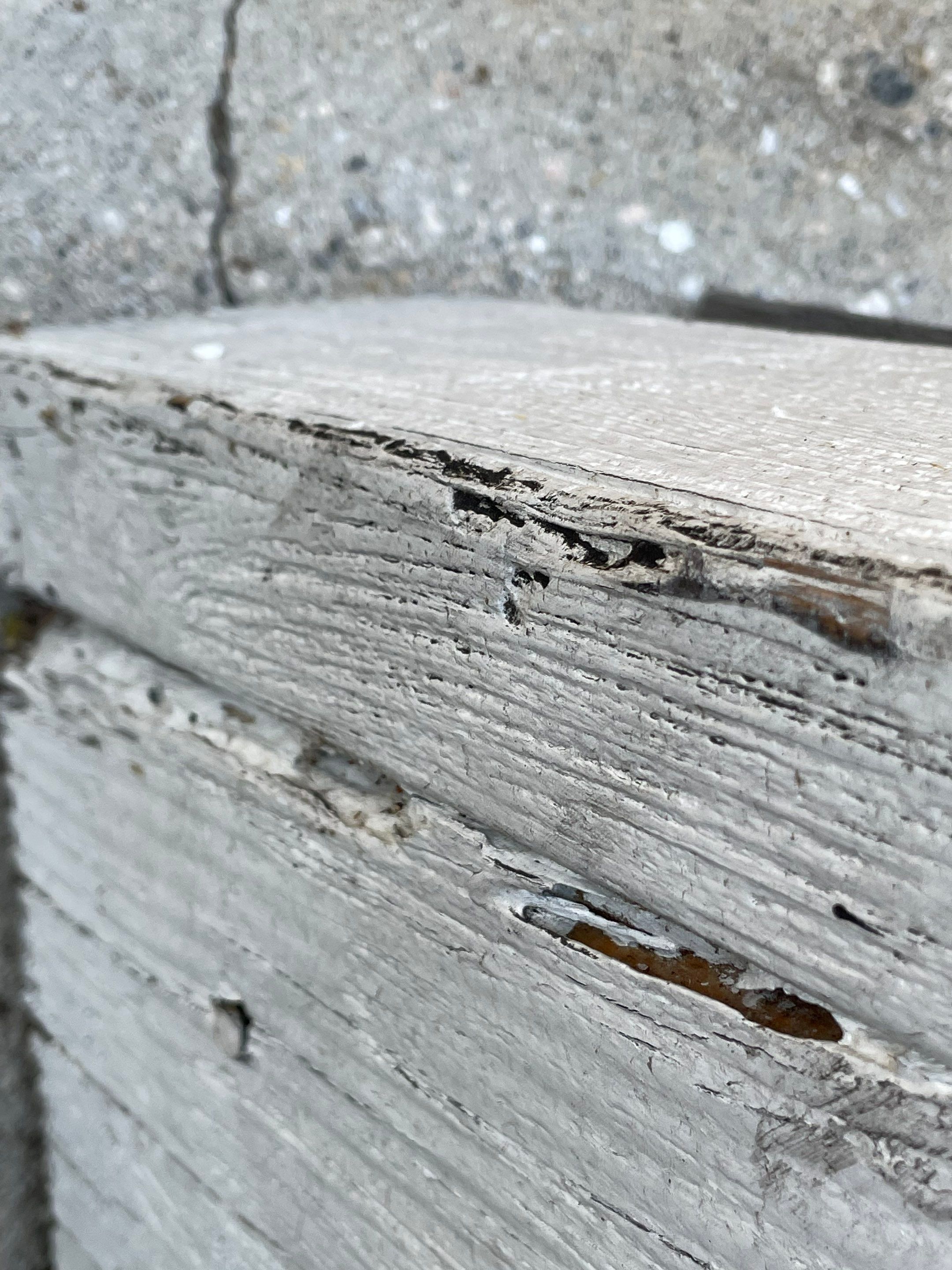 Wood Destroying Organisms Report by GLOBAL Termite Solutions
