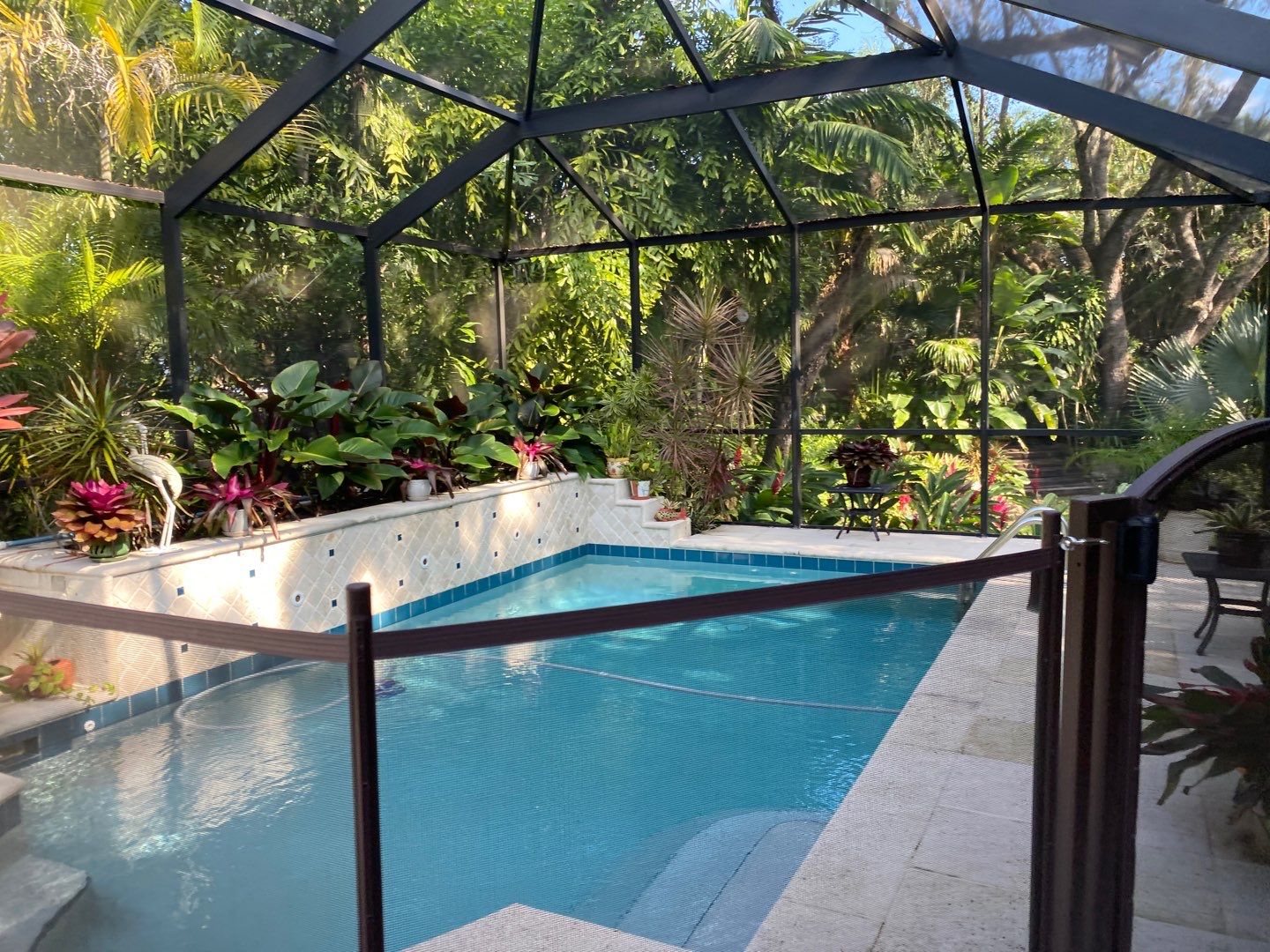 Tropical Residential Landscape in Pinecrest by Nature's Dream Landscape and Tree Service