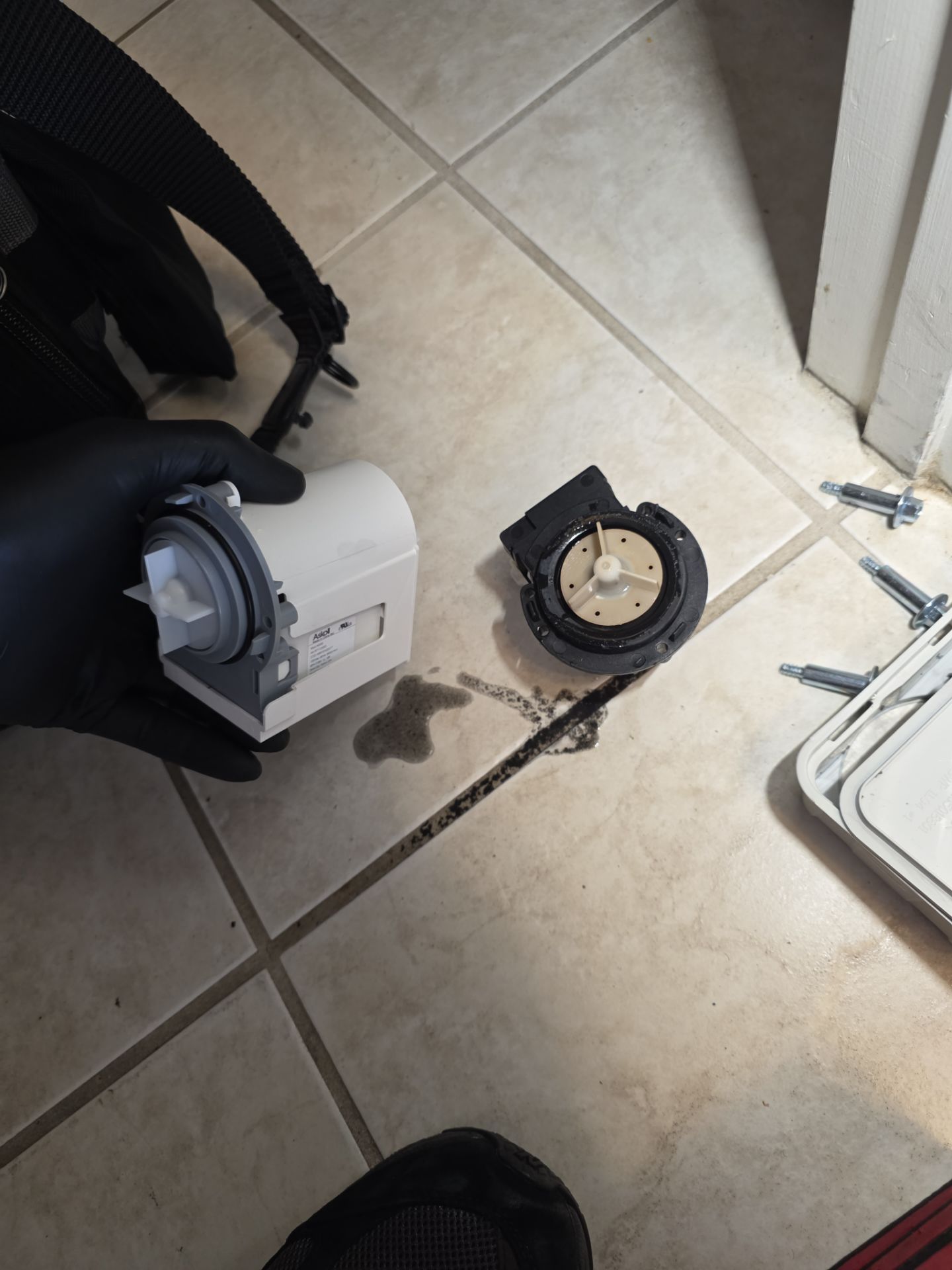 LG Front-Loading Washing Machine Repair and Pump Replacement in Windermere by AMB-WORKS APPLIANCE REPAIR