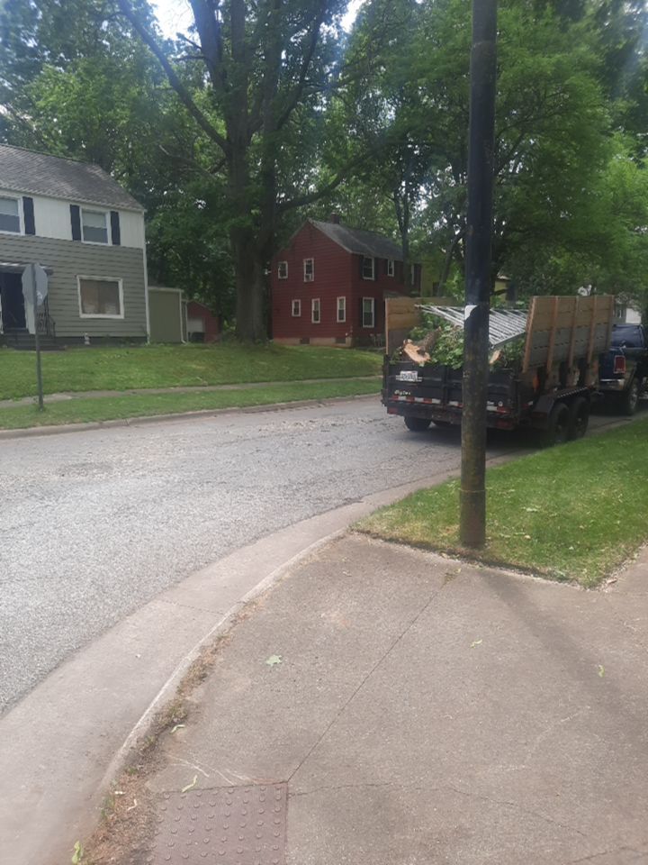 Storm Damaged Tree Removal  using Tree Removal by Mike Jones & Sons Tree Service LLC 