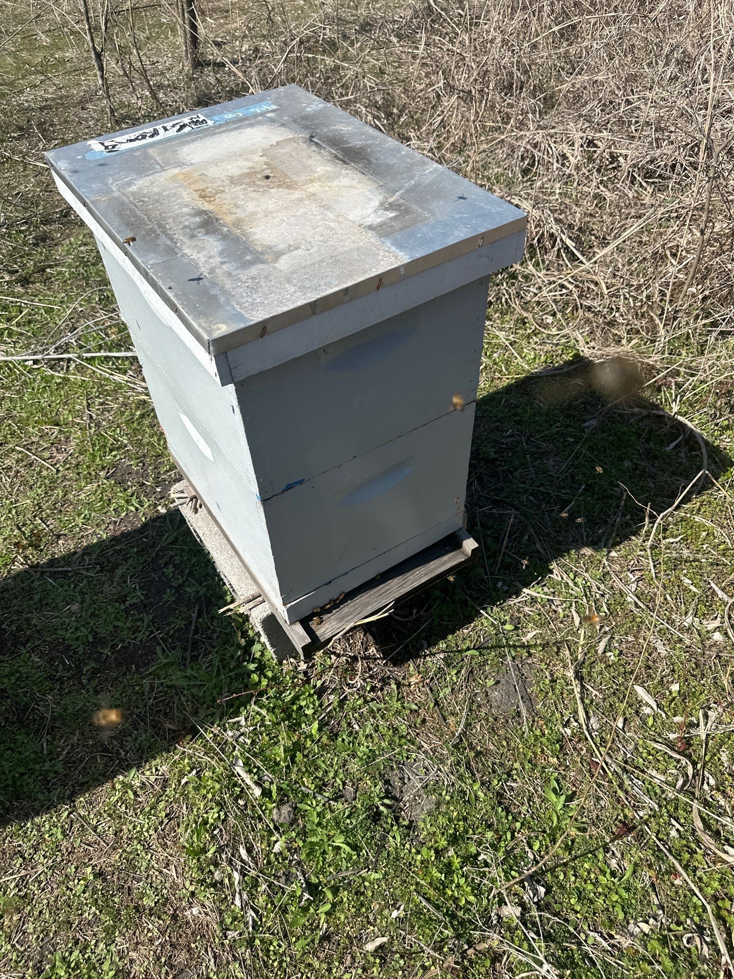 Ag. Exemption in Fate, TX by Rockwall Honey Bee Company