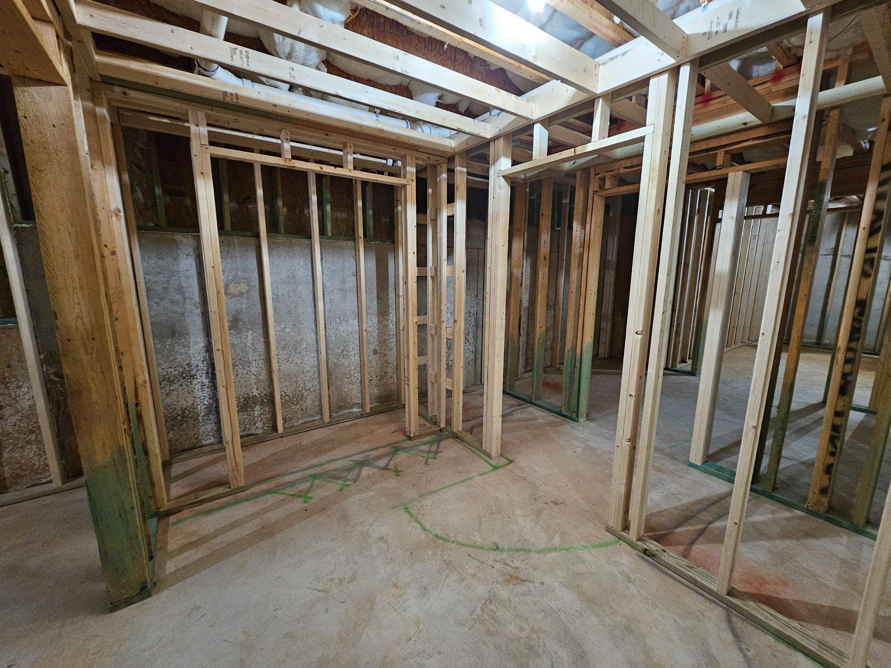 Palmetto Basement by Ajayi Design and Construction 