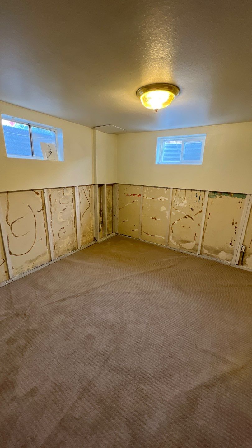 Mold Remediation by Accountable Home Services