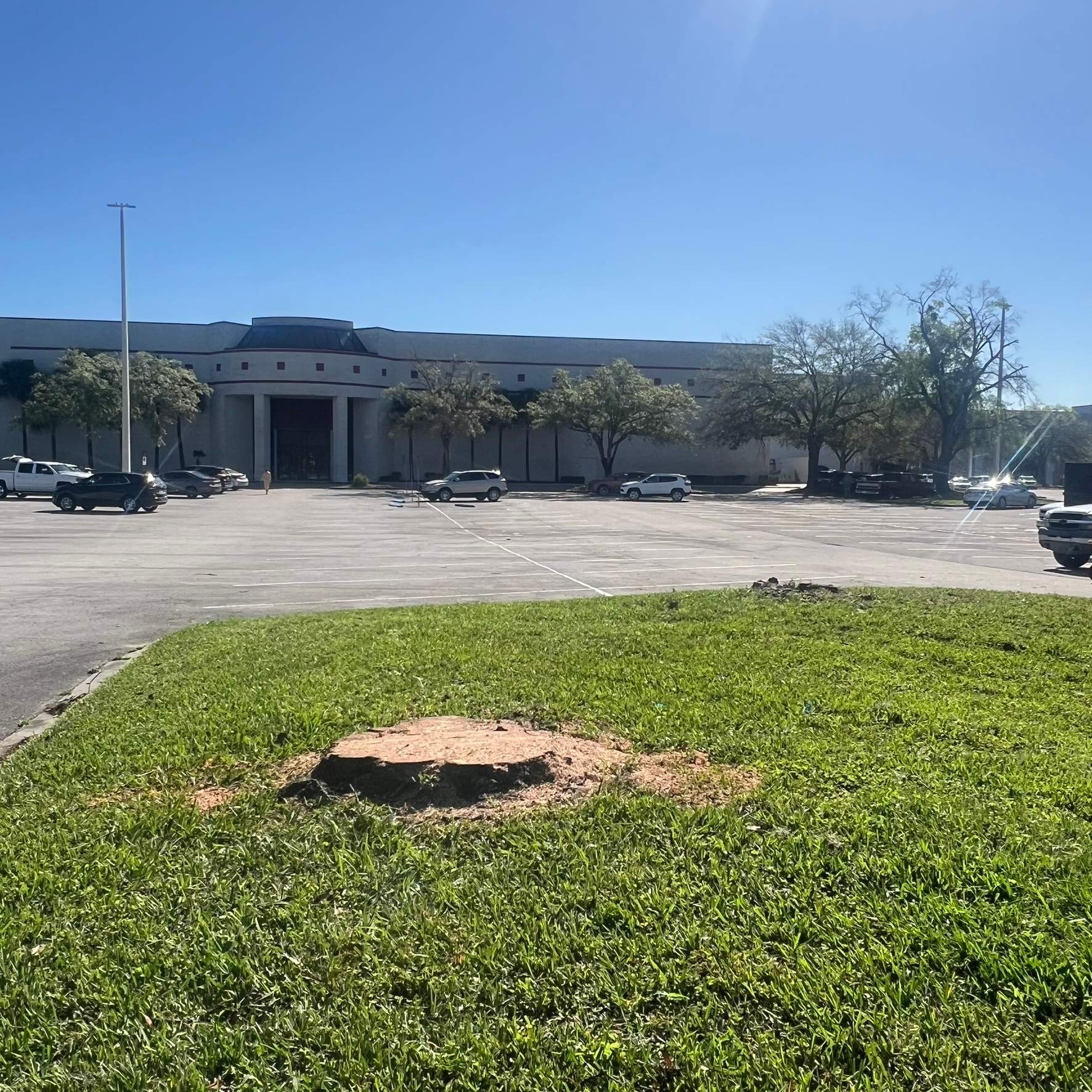 Tree Work | The Avenues Mall by ProGreen Services