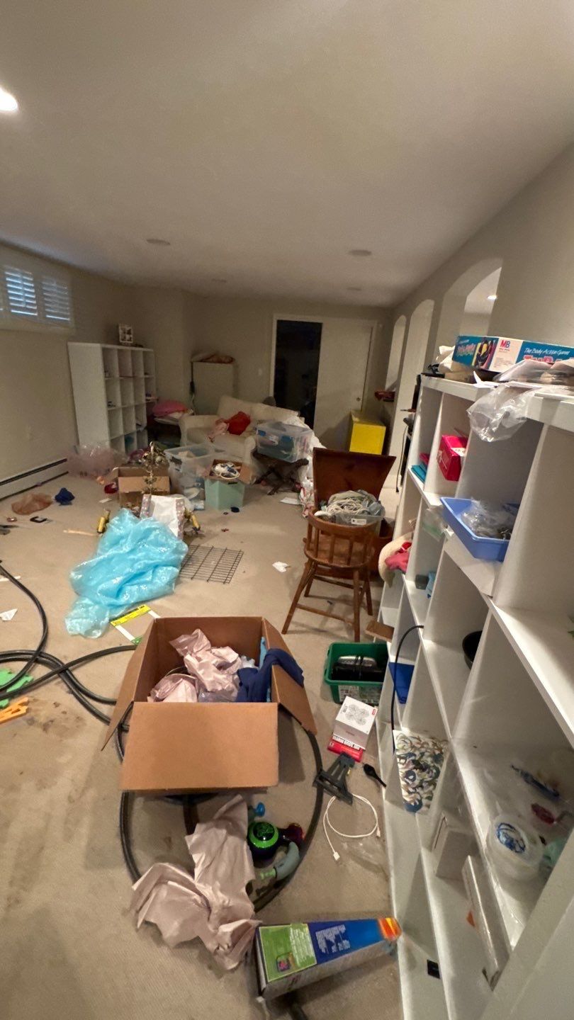 Mold Project in Englewood by Accountable Home Services