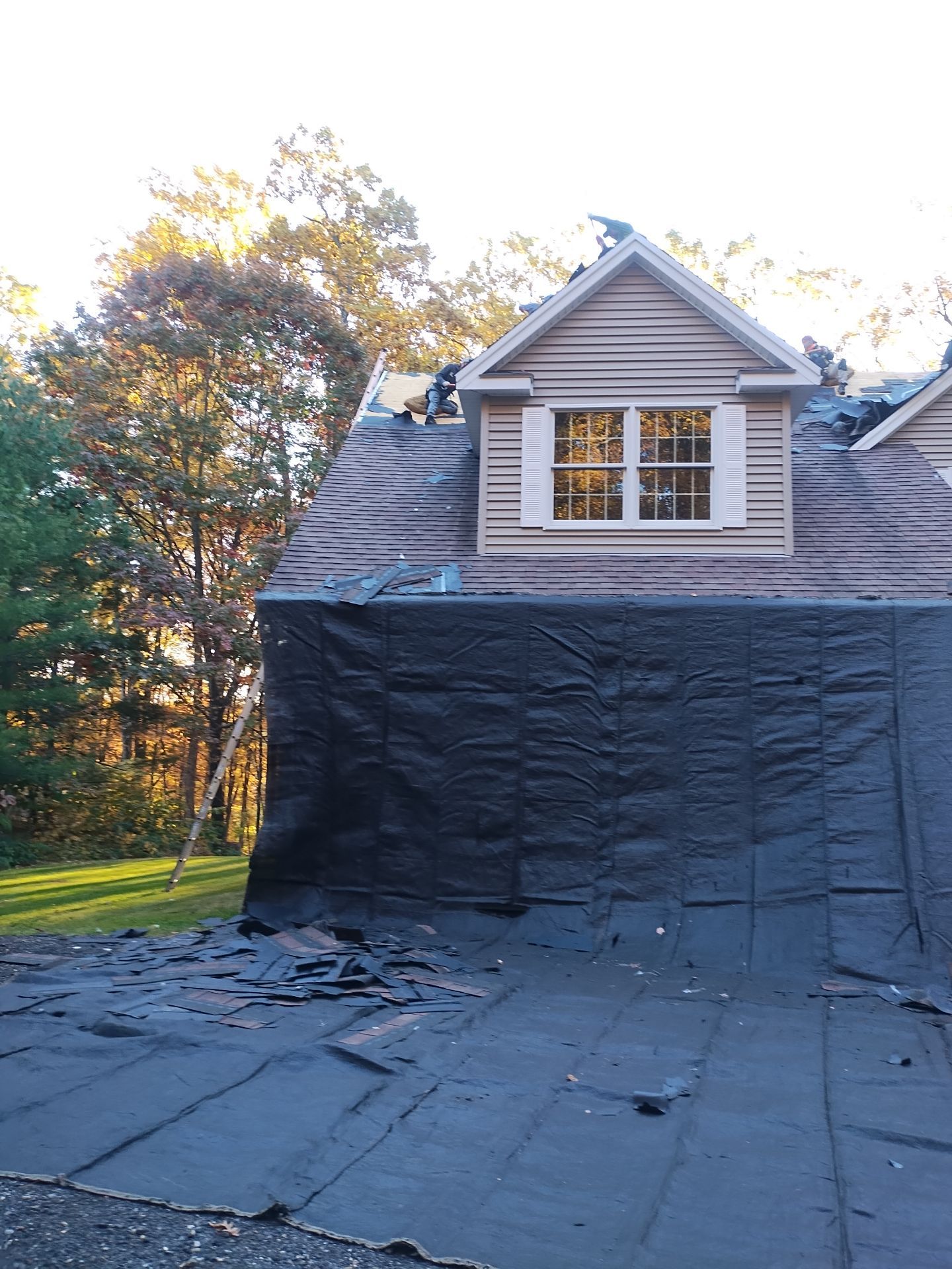 Prospect by All site builders LLC