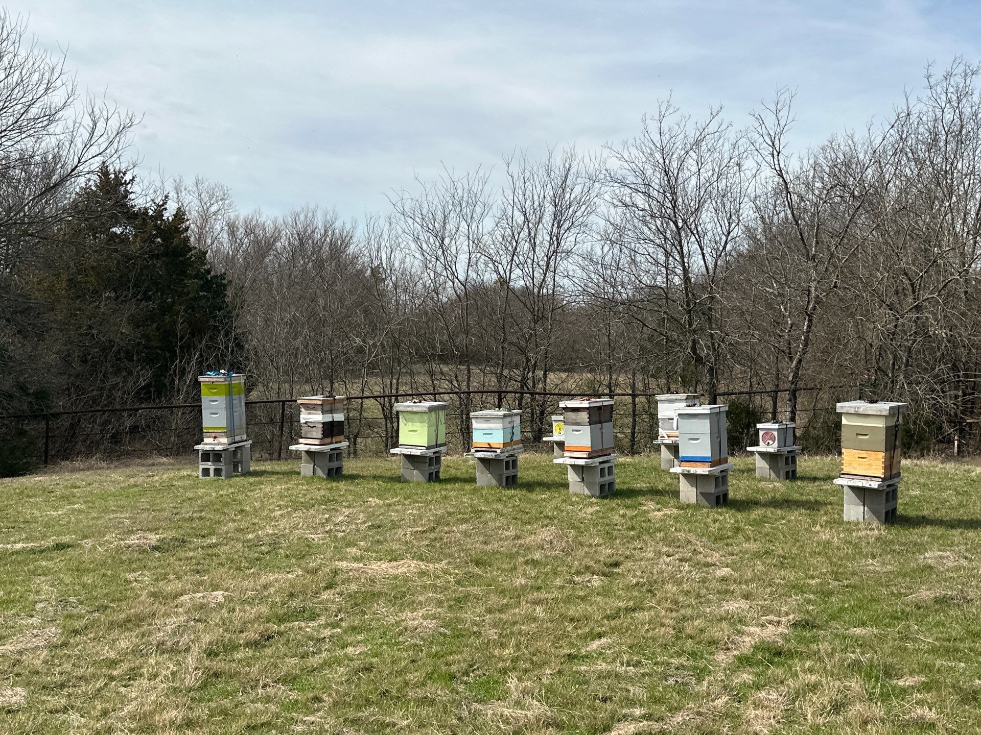 Bees for Ag. Exemption in Heath by Rockwall Honey Bee Company