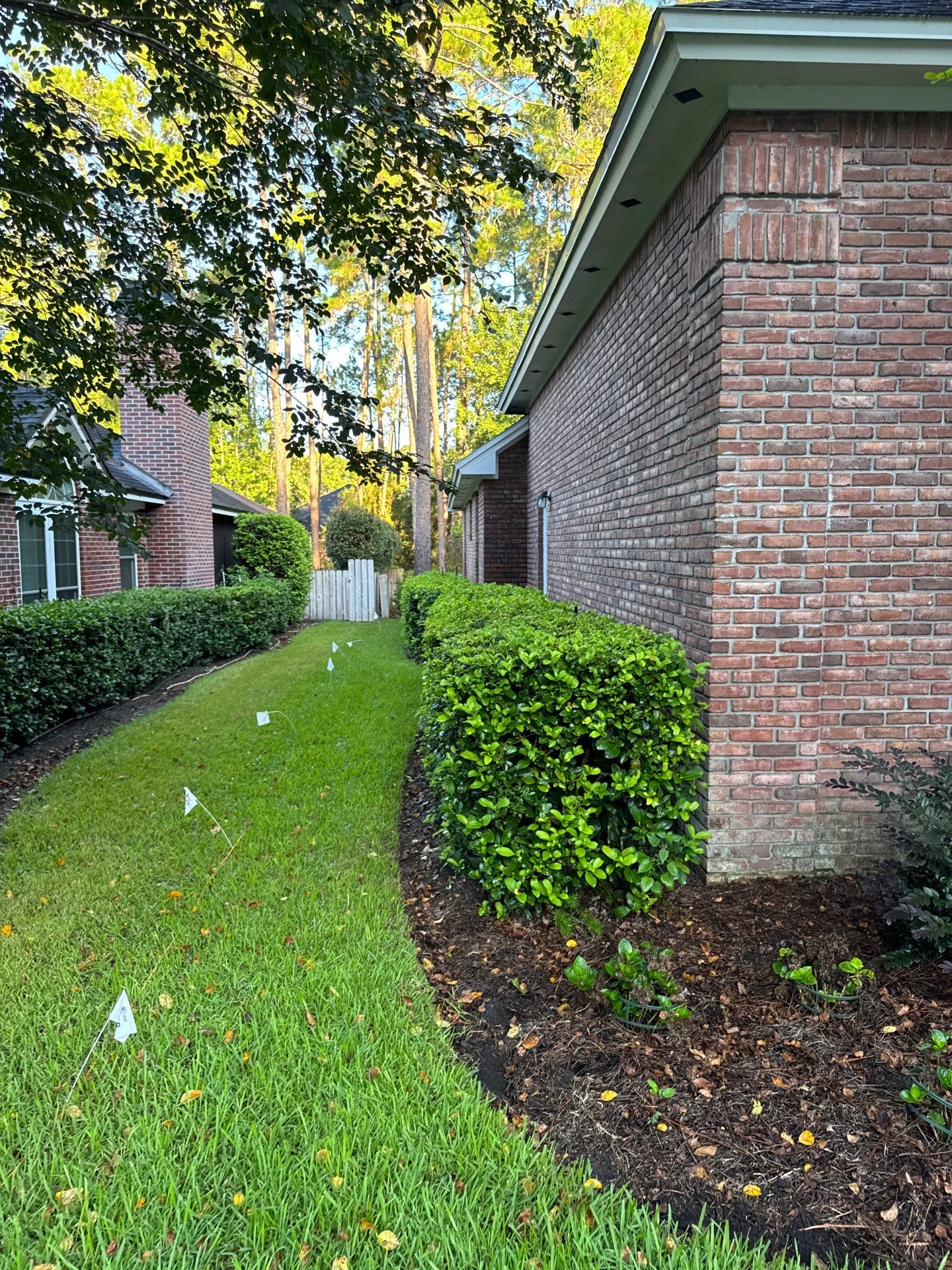 Residential | Shrub Trimming by ProGreen Services