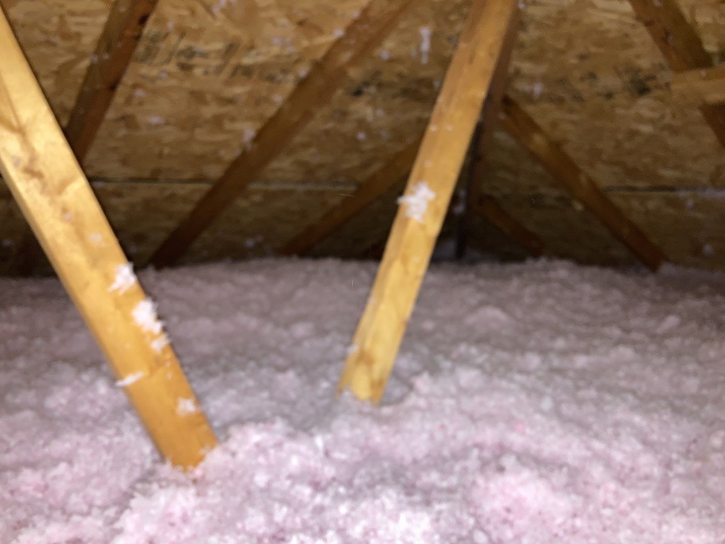 Mold Remediation Cleanup in Attic by Accountable Home Services