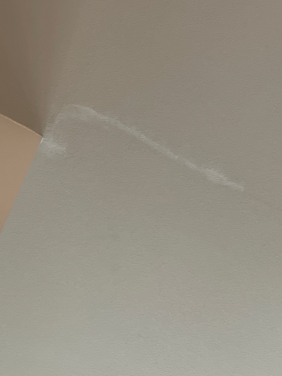 Full Exterior Remodel (Roofing, painting, Gutters) & Interior Damage Repair & Painting by First United Roofing & Construction