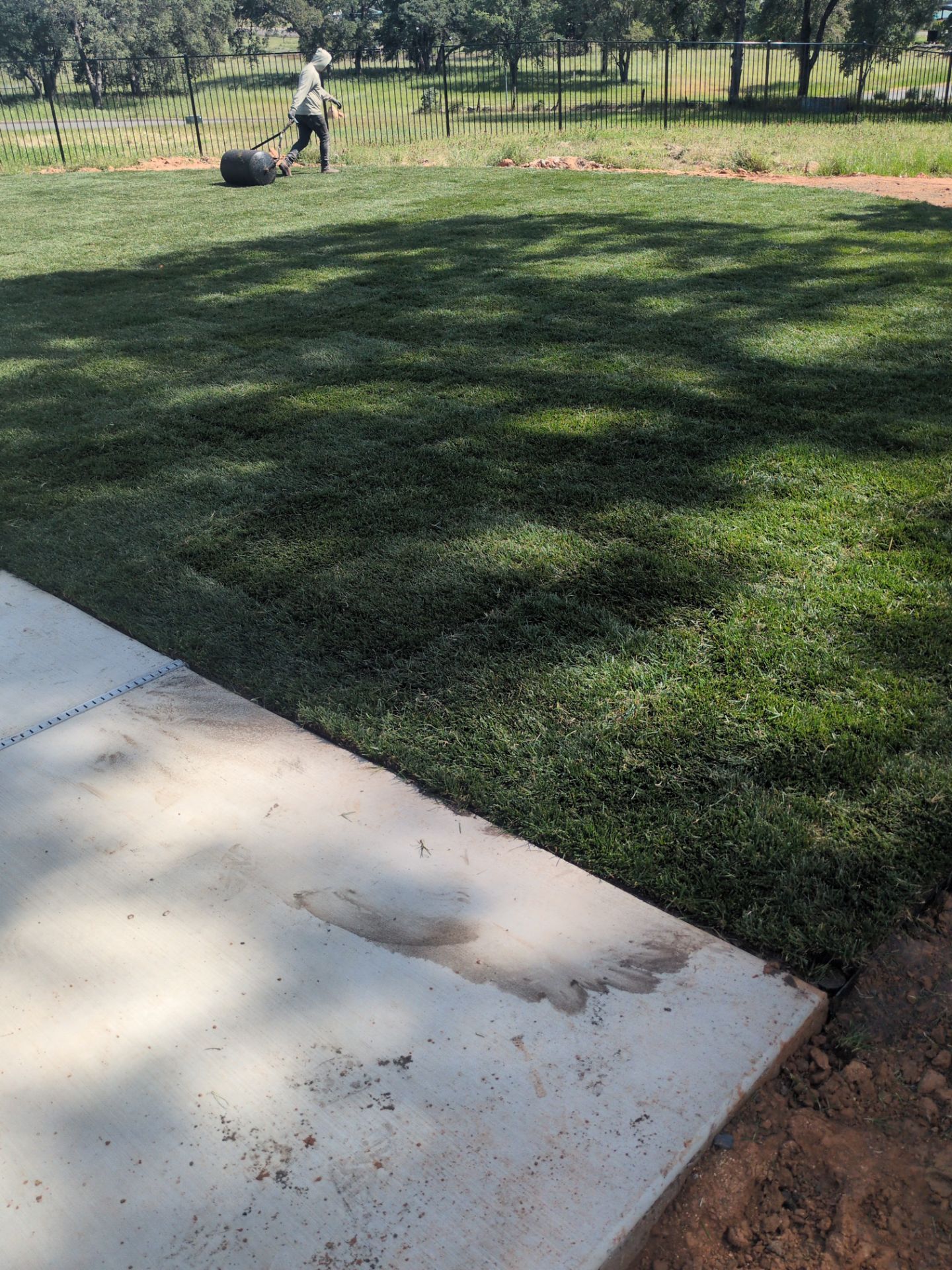 Project in Cameron Park by A - G Sod Farms