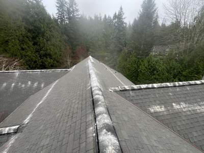 Residential Roof Cleaning in Bainbridge Island, WA