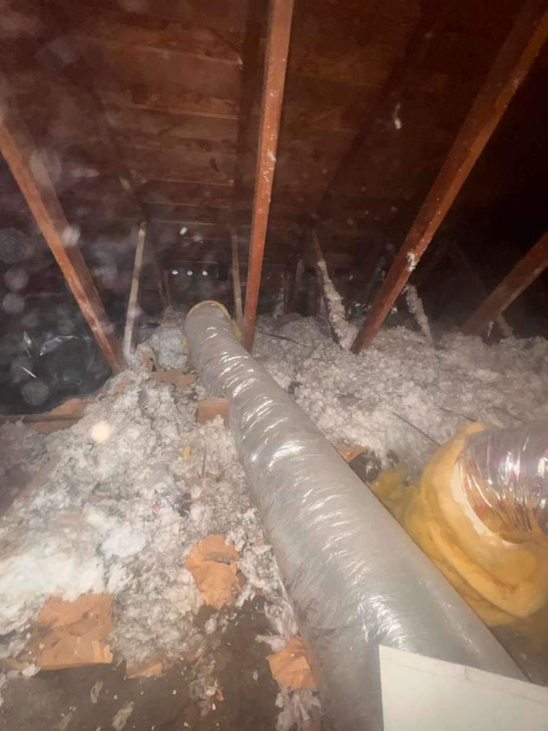 Project in Newport Beach by Advanced Attic Solutions