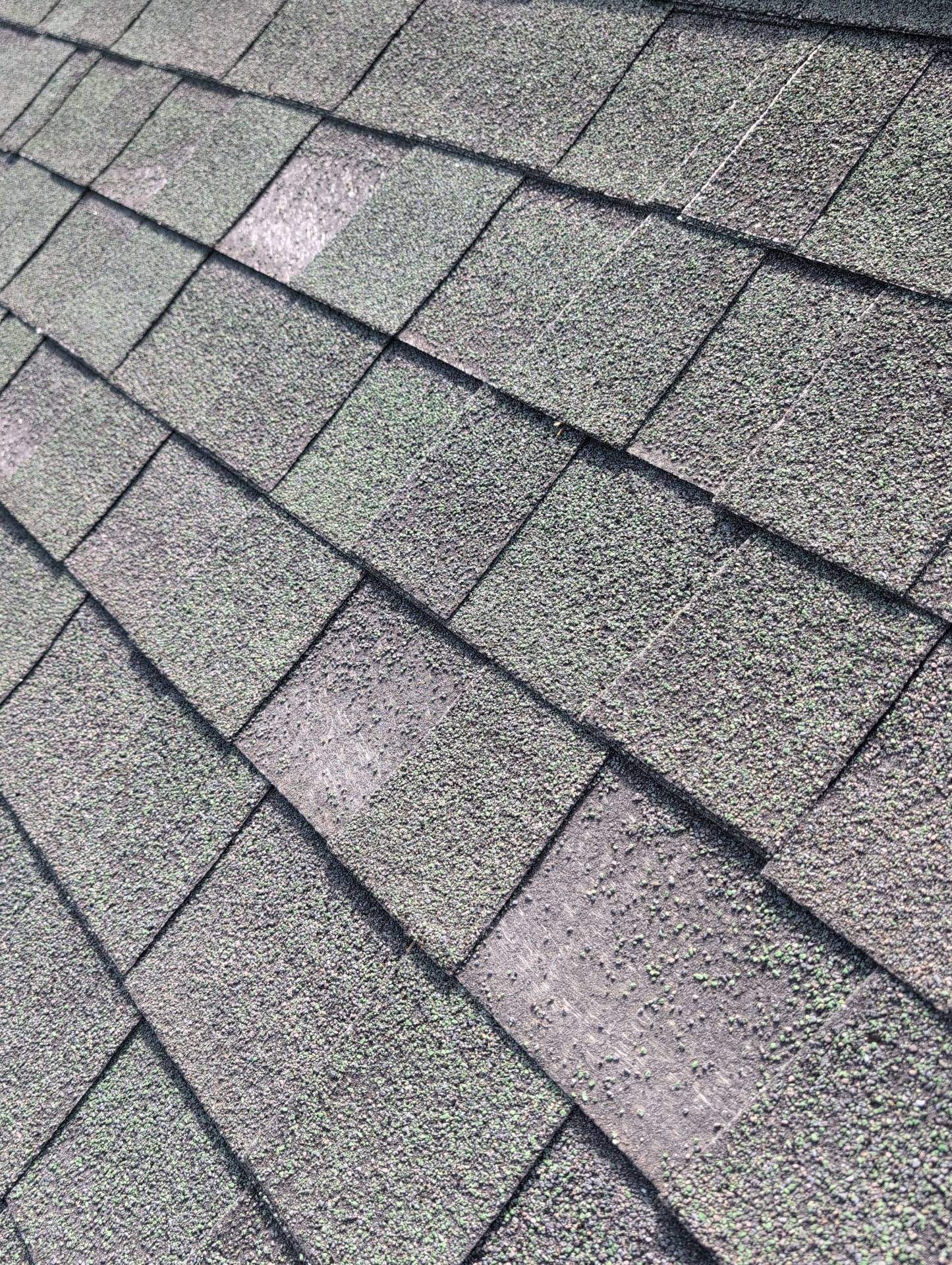 Roof Replacement & Seamless Gutters in Cape Fair by Table Rock Design + Build