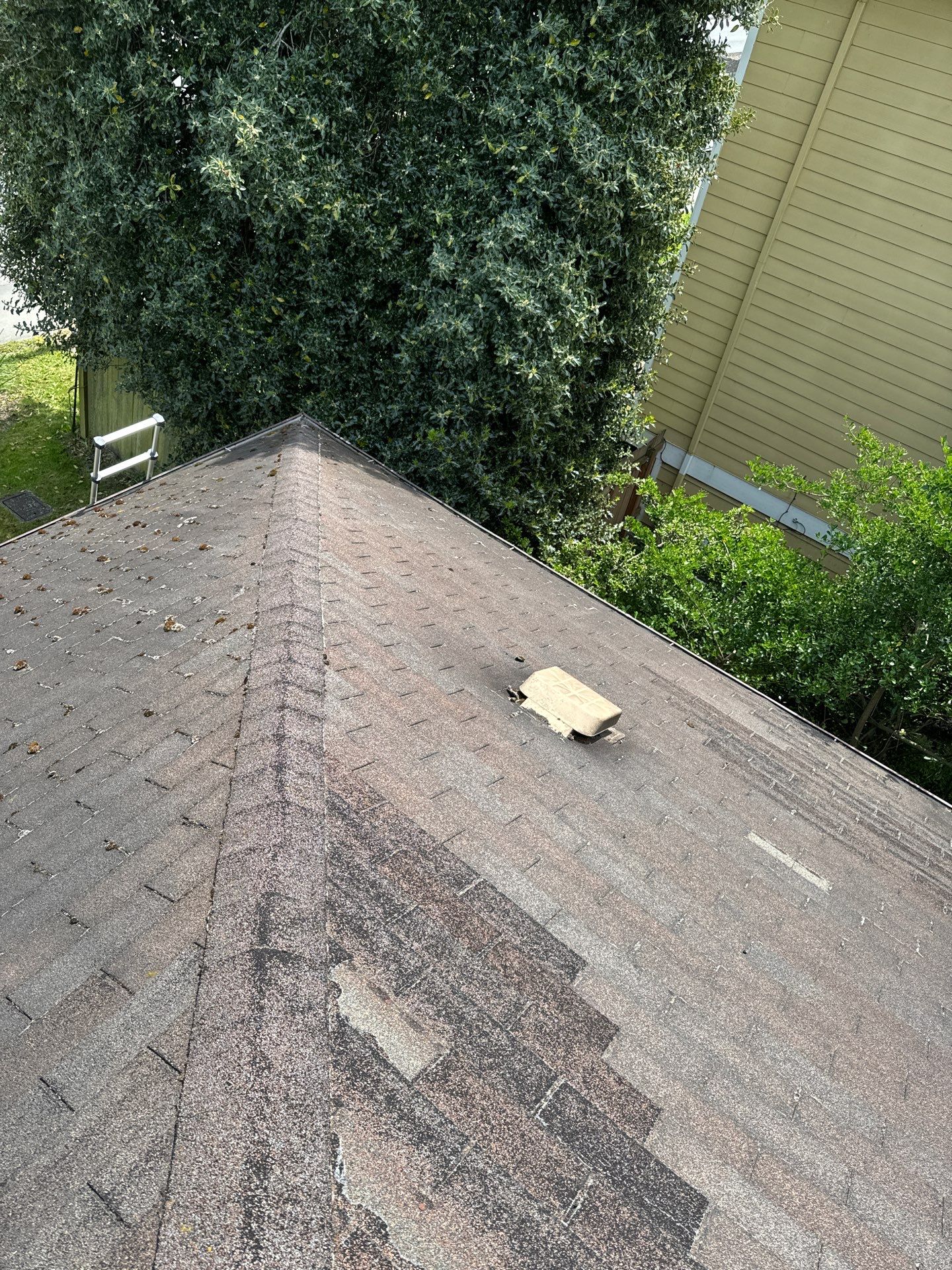 Project in Everett by Peaks and Valleys Construction