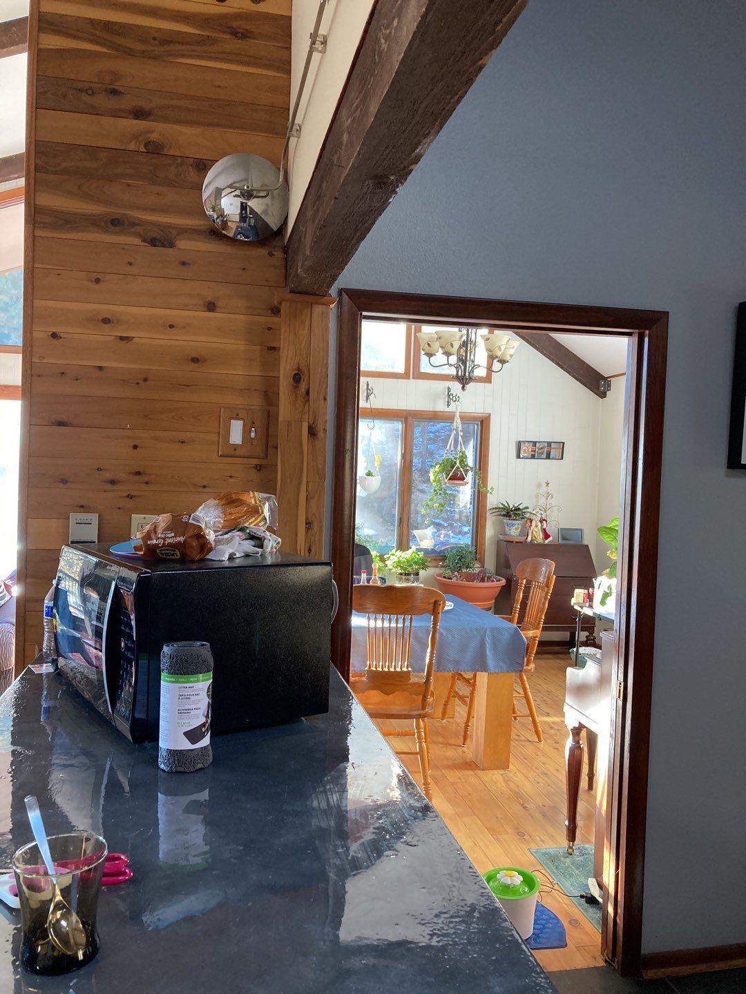 Mold Remediation using Containment by Accountable Home Services