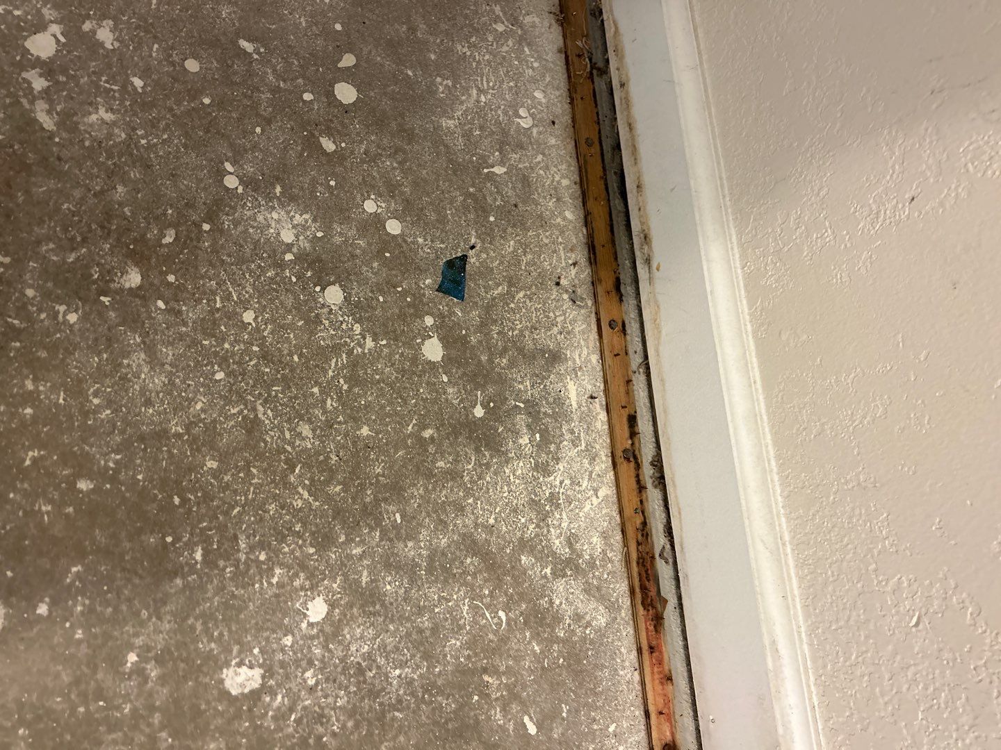 Mold Damage Project in Thornton by Accountable Home Services