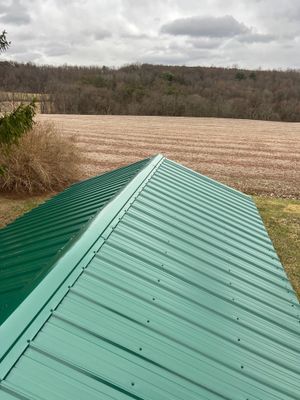 Green Metal Roof Replacement on Detached Shed in Halifax