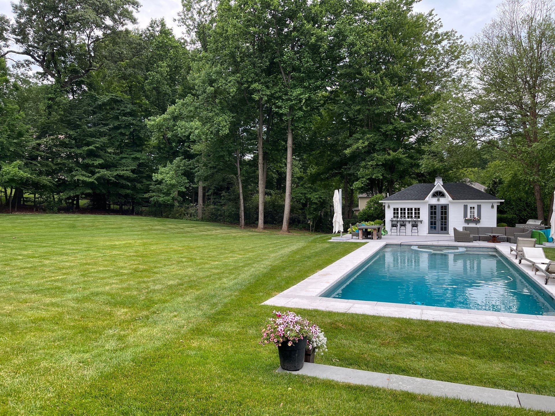 Comprehensive Lawn Care in Warren by Ants Plants