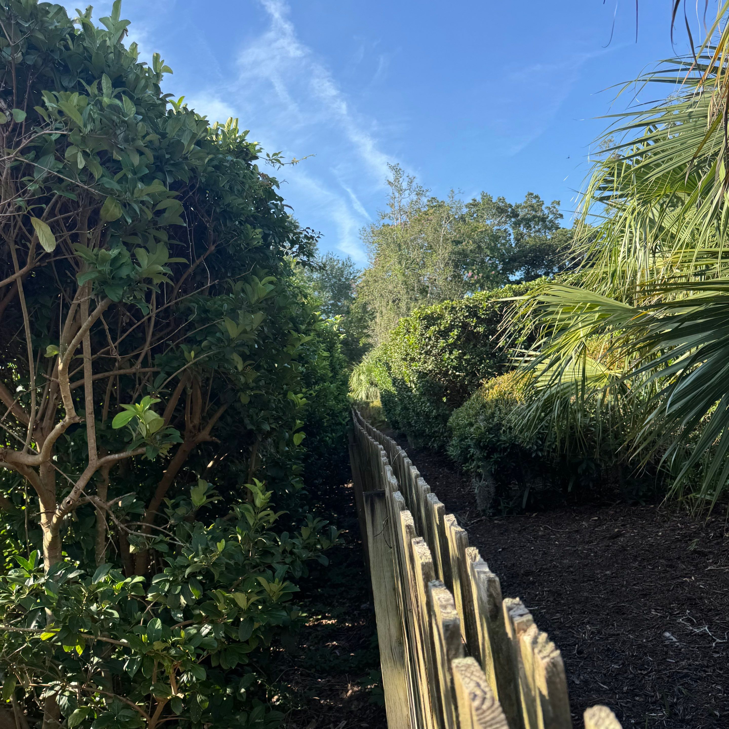Deerwood Resident | Shrub Trimming by ProGreen Services