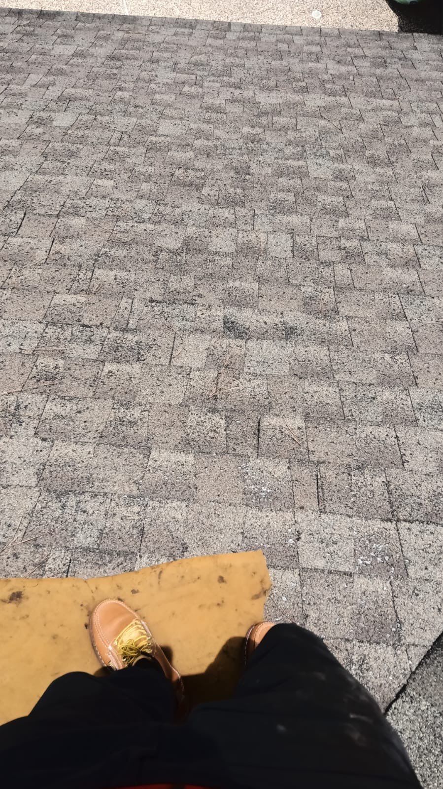 Hail Damage using Owen's Corning Duration (Lifetime) Shingles by Roof Repair Services LLC