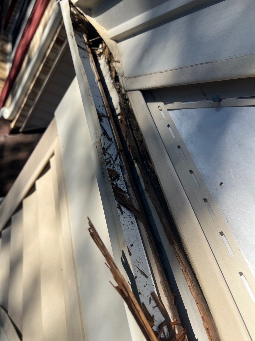 Vienna: Residential Roof Replacement with CertainTeed Landmark Designer Shingles in Burnt Sienna by RM Banning, Inc.