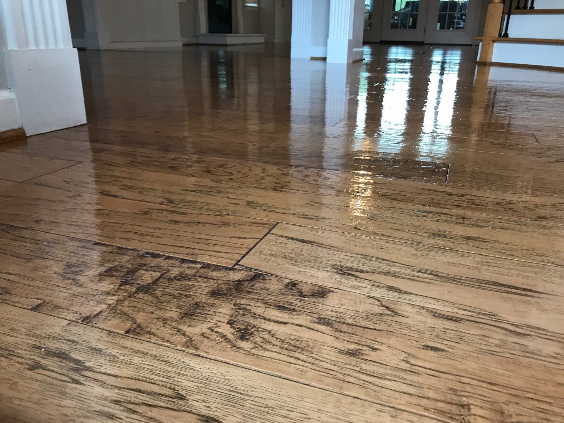 Hardwood Renewal  by Monster Clean
