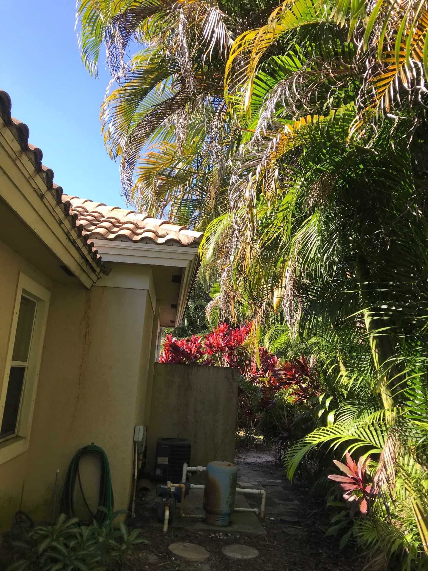 ✨ “Sweep, Spruce & Scoot!” ✨ by Alpha Zeta Enterprises Inc