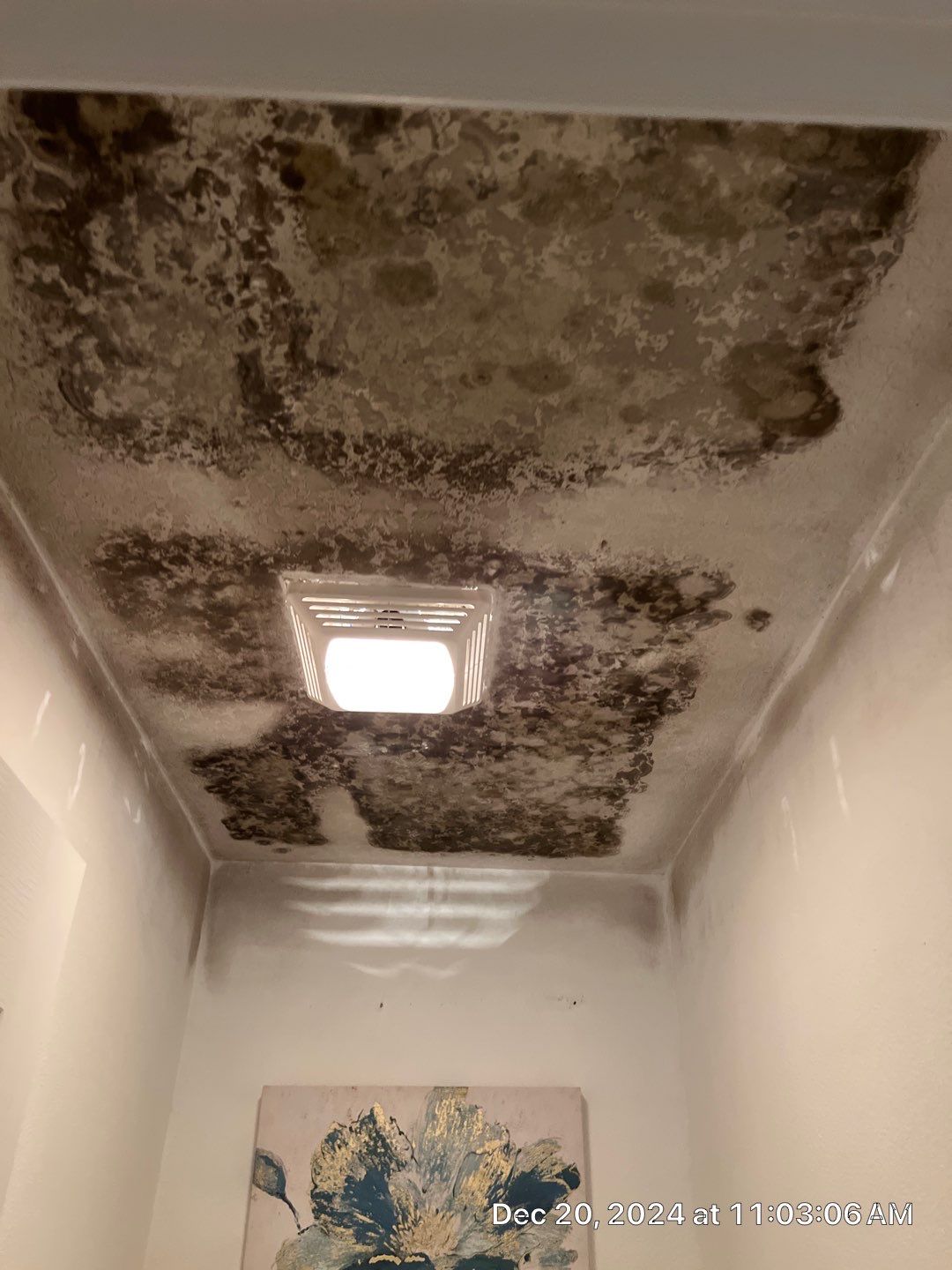 Mold Damage Removal In Palmetto, FL by Ampm Restoration Services