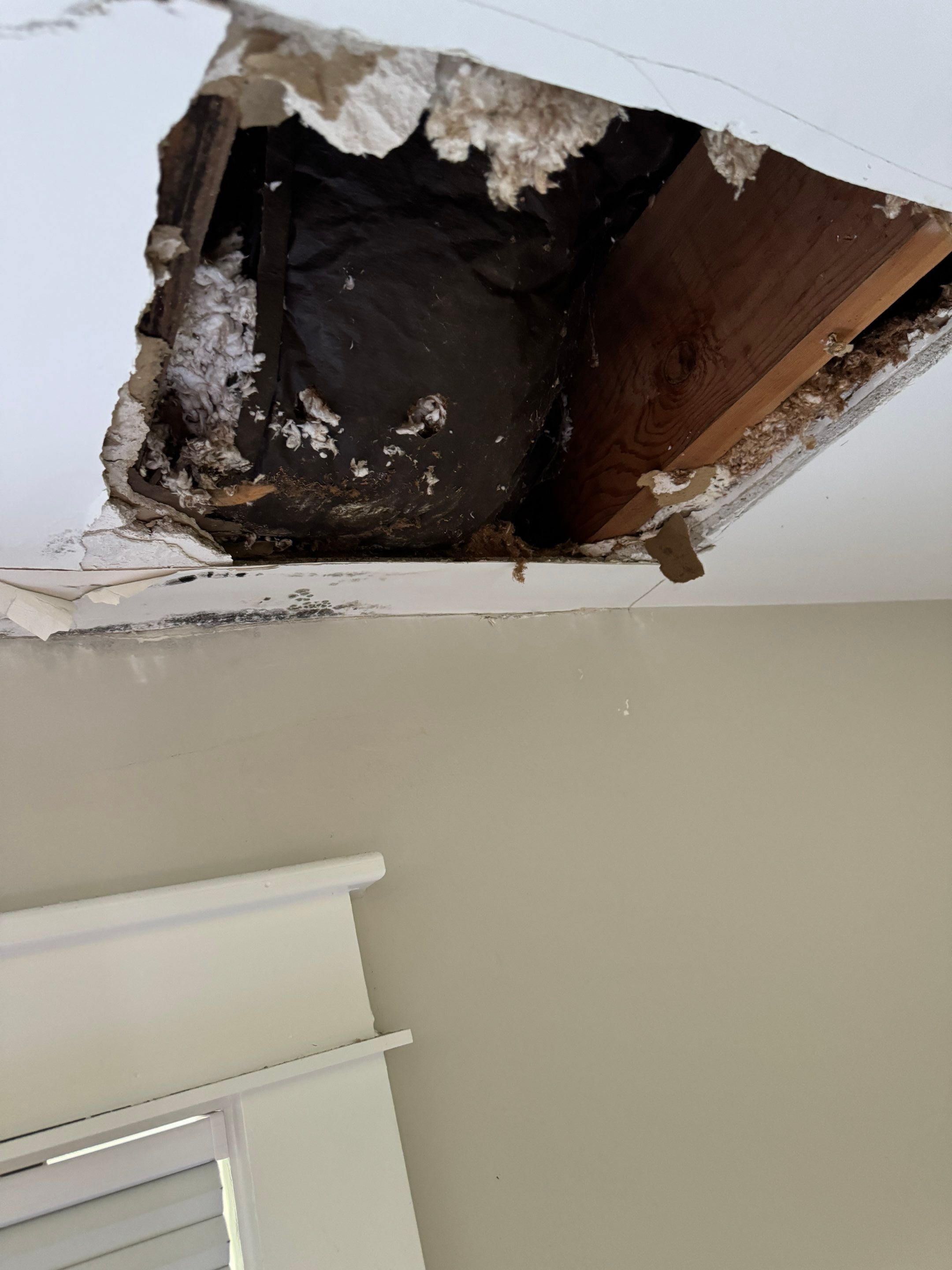 Bedroom Mold Remediation by Home Guarantee, LLC