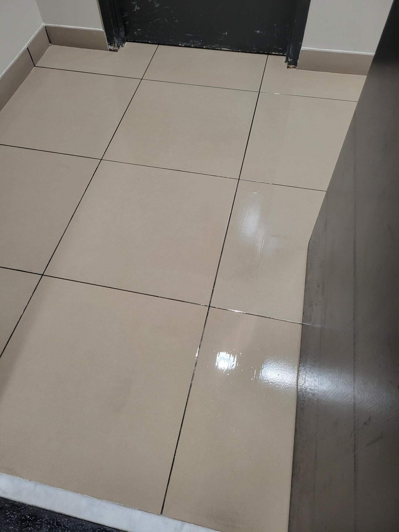 SaniGlaze Removal and reconditioning using CareGuard by Corporate Care