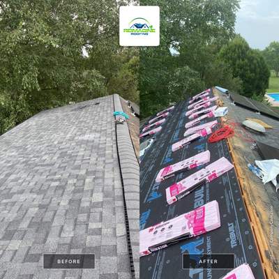 Silver Birch Shingles
