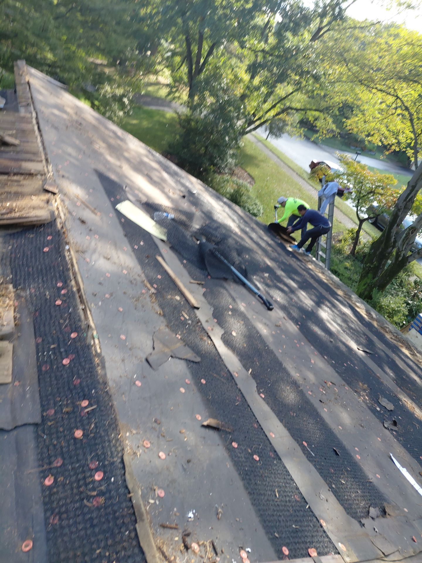 Vienna : Residential Roof Replacement with CertainTeed Landmark Pro in Max Def Georgetown Gray  by RM Banning, Inc.