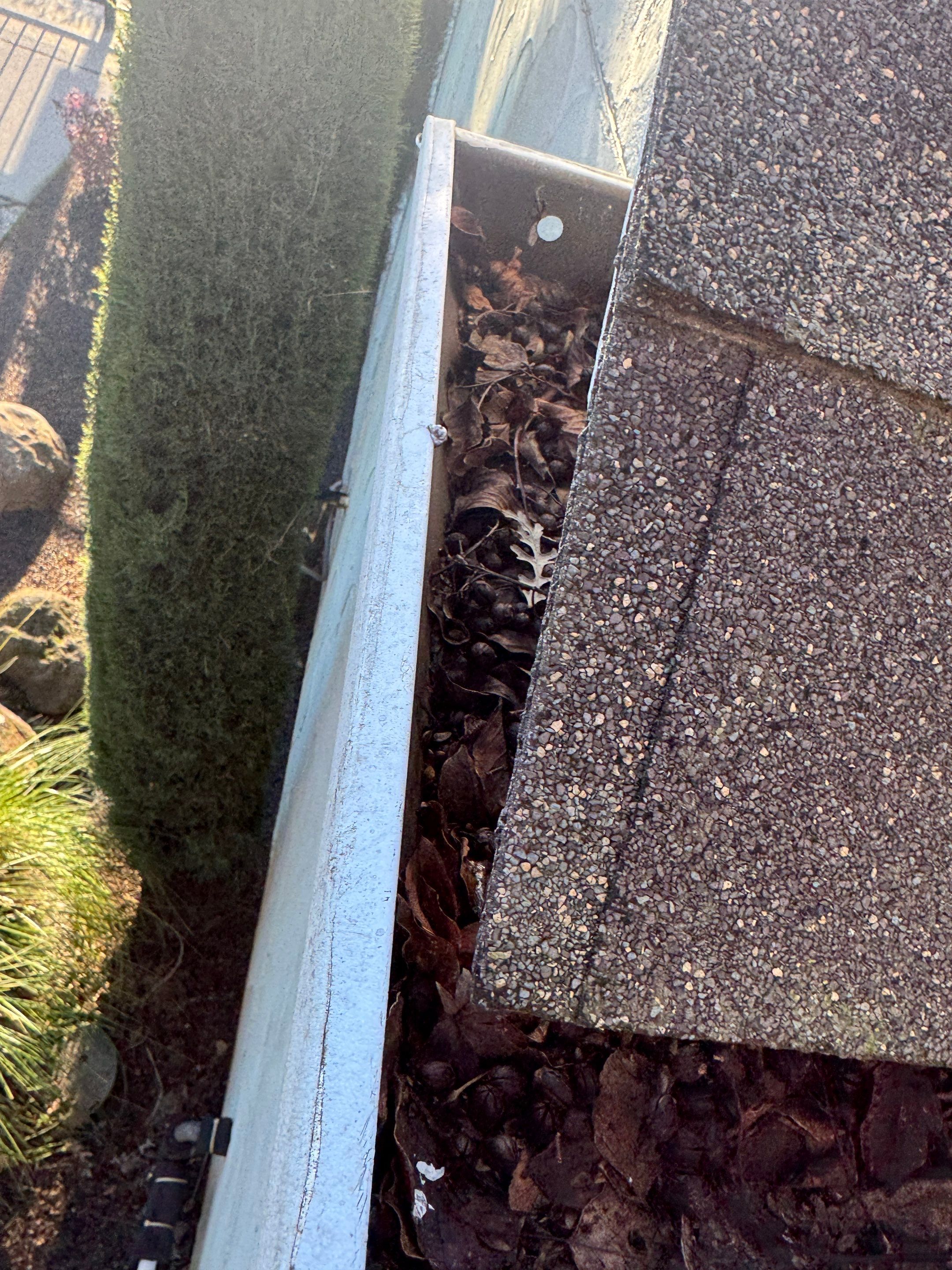 HOA gutter cleaning before photo Chico, CA.