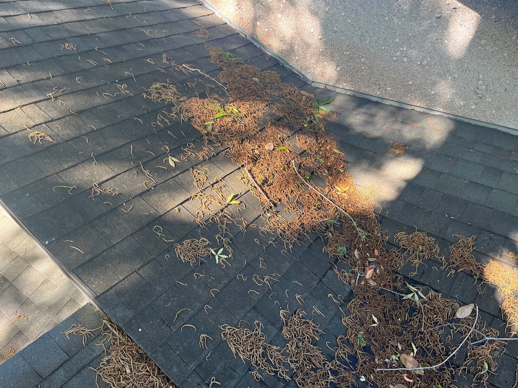 Shingle -> Metal by Prime Roofing