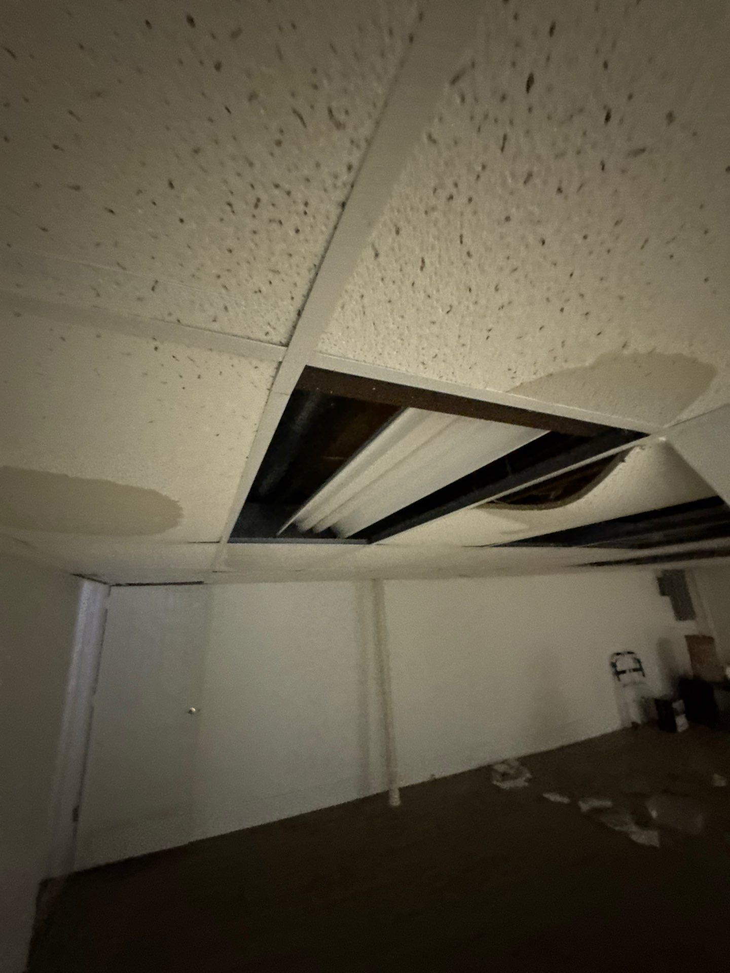 Project in Farmington Hills by EzDry Water Mitigation & Property Restoration