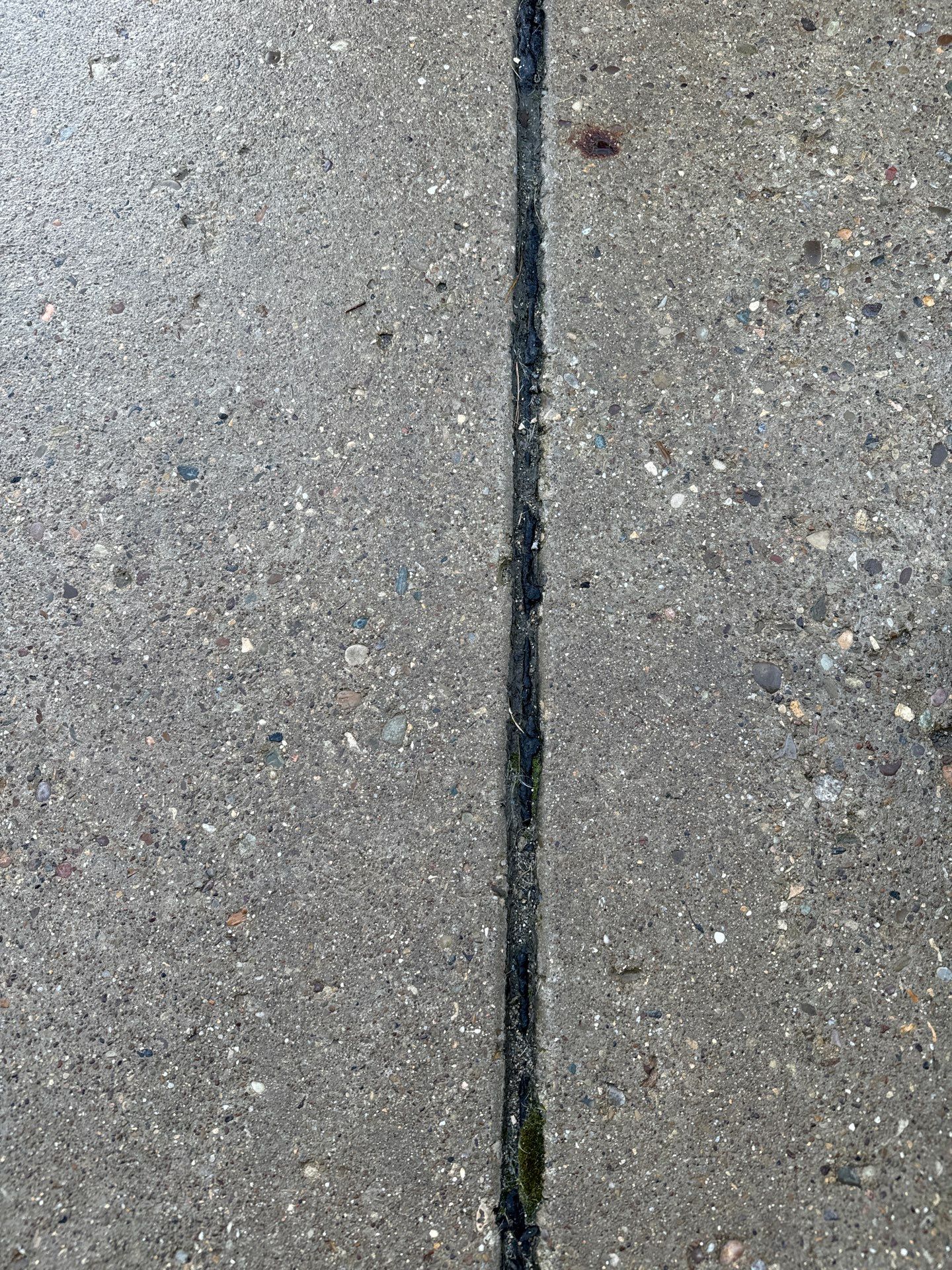 Driveway + Garage + Walkway Project in Meridian by Floors in a Day, Inc