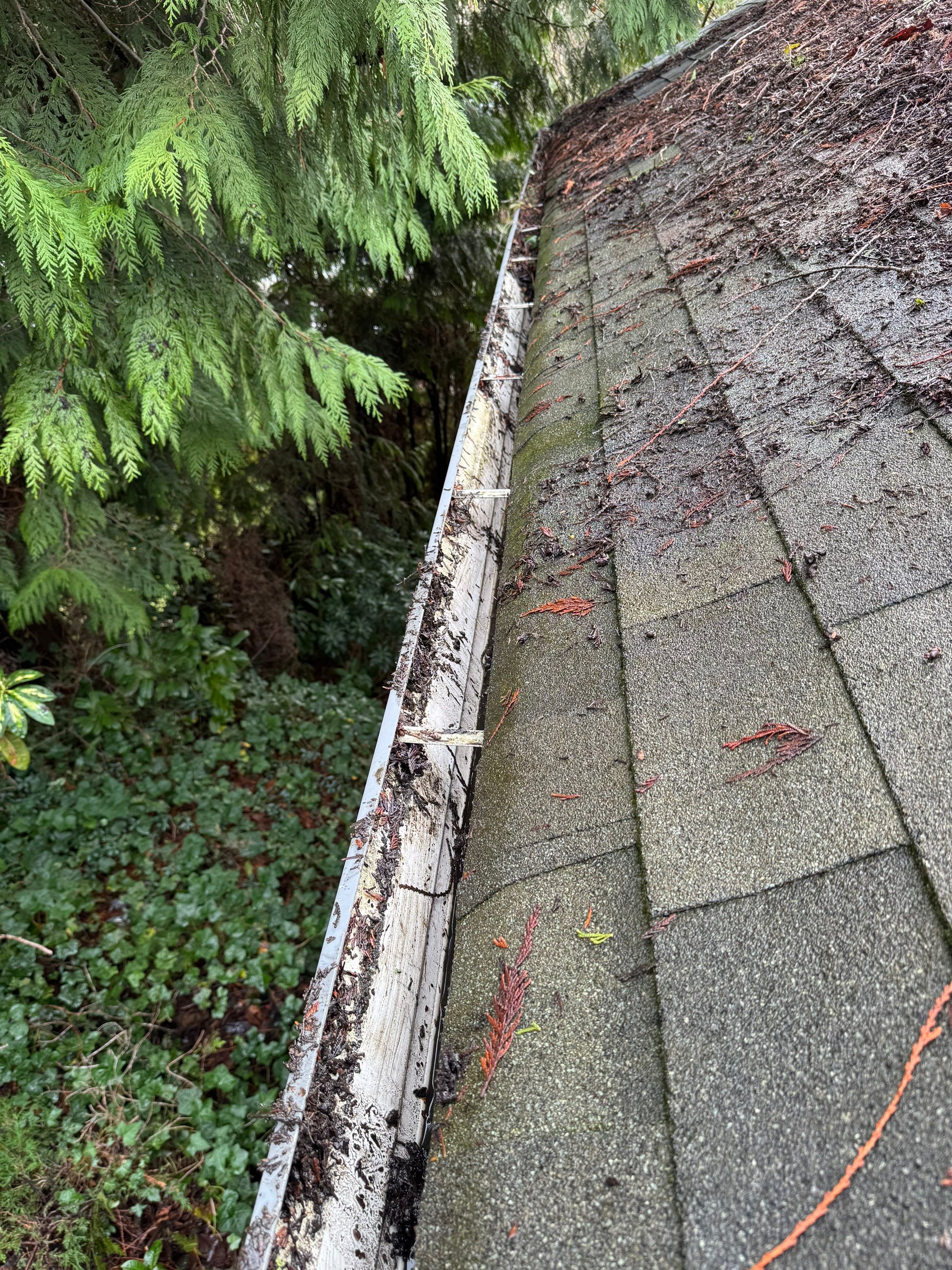 Gutter Cleaning by YVR Construction Group