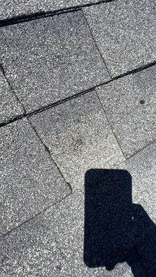 Project by Storm Guard of South Metro Denver