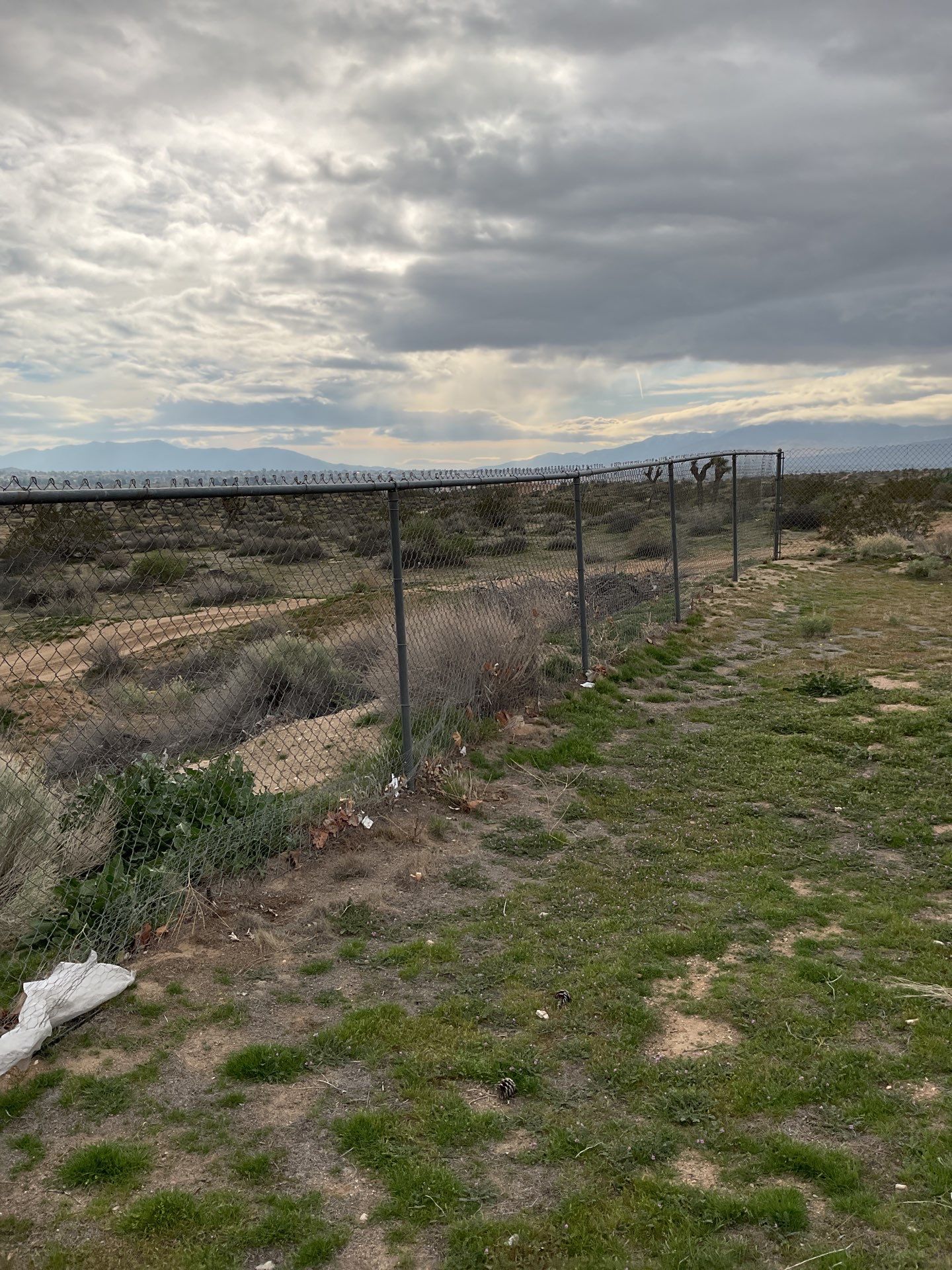 Commercial Fence Installation using Wrought Iron by Fence Guys Inc.
