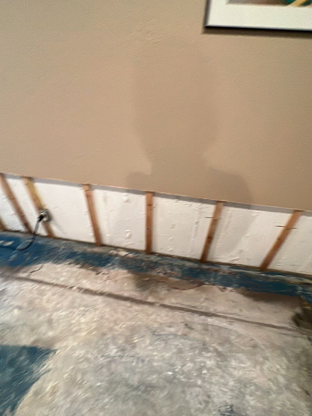 Mold Damage by Accountable Home Services