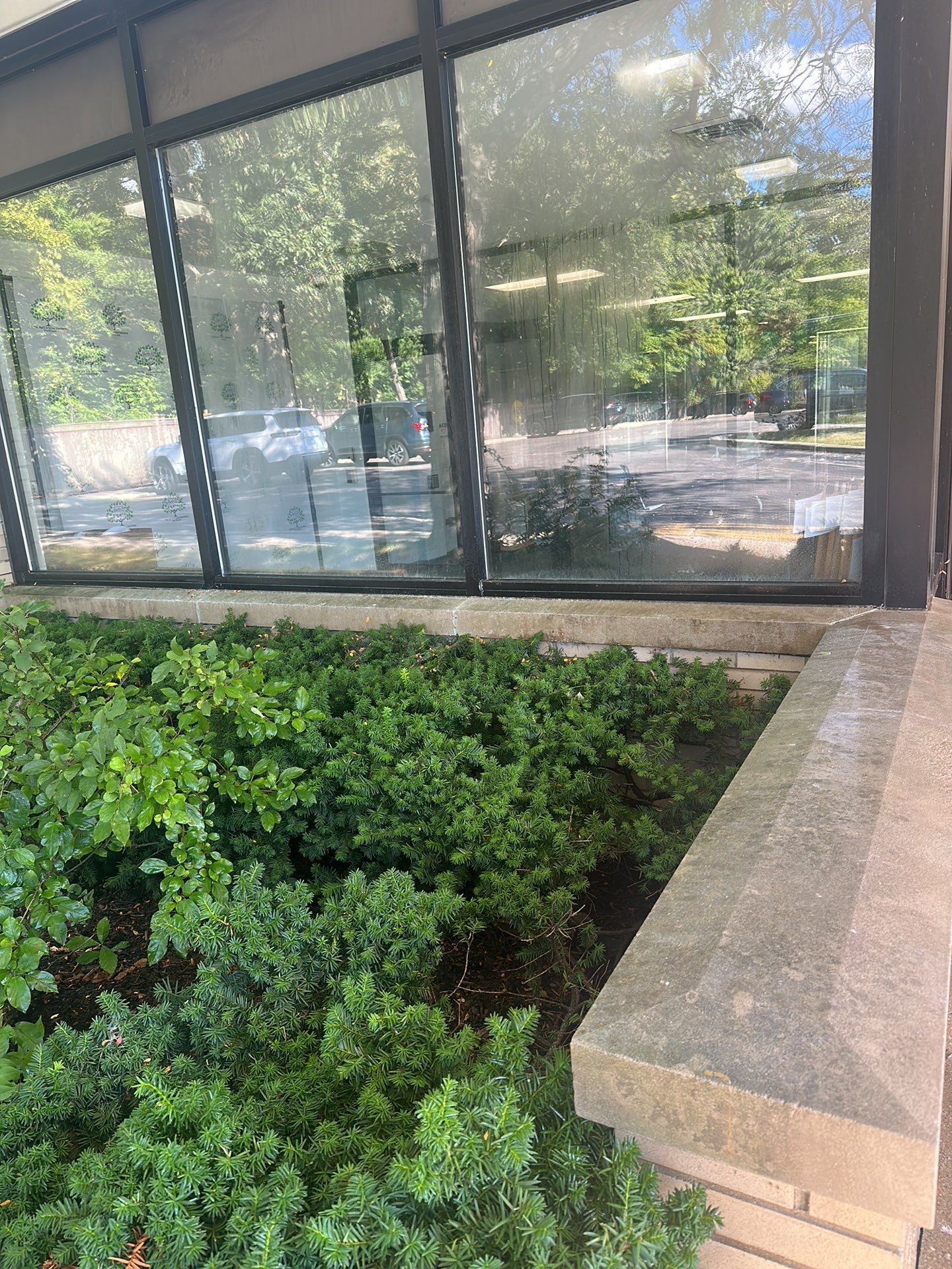 commercial pressure washing using Algaecide, soft wash soap by Northern Power Washing LLC.